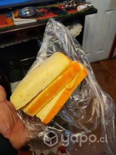 Quesos parcelas de Valdivia