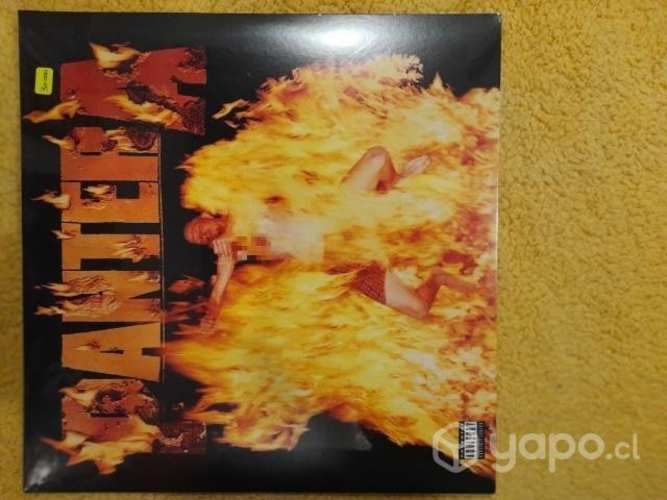 Pantera vinilo