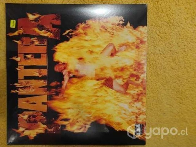 Pantera vinilo
