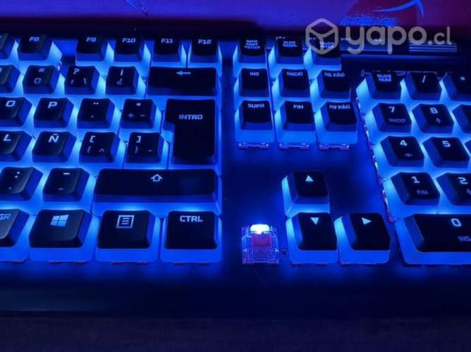 Teclado Mecánico HyperX Elite 2