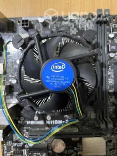 Placa madre, Ram, Grafica, Procesador