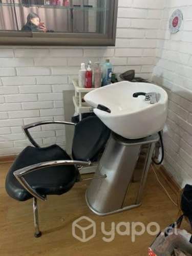 Lava pelo profesional