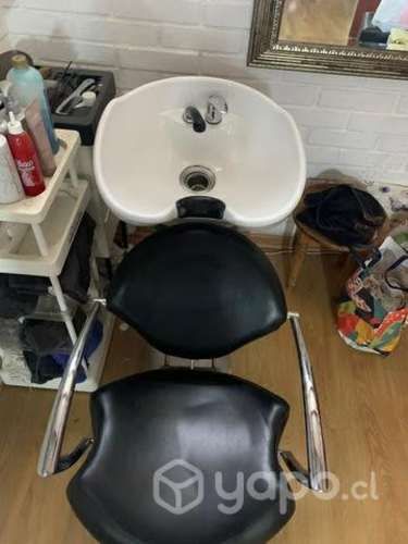 Lava pelo profesional