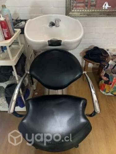 Lava pelo profesional