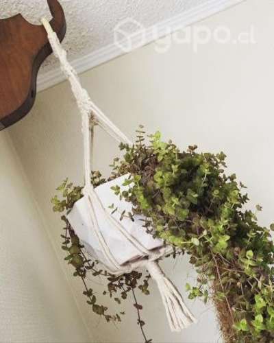 Portamacetas colgantes macrame