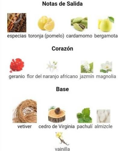 Perfumes franck oliver