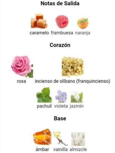 Perfumes franck oliver