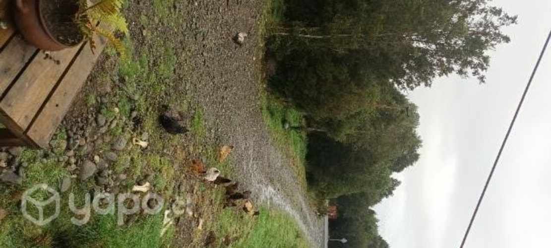 Parcela con 2 casa y rio