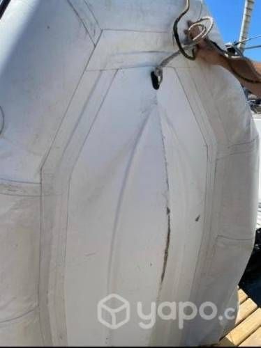 Zodiac Frances + Motor Honda