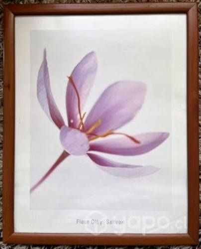 Set cuadros decorativos c/ marco y vidrio