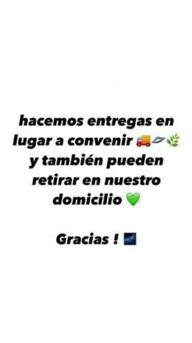 Dulce de membrillo casero