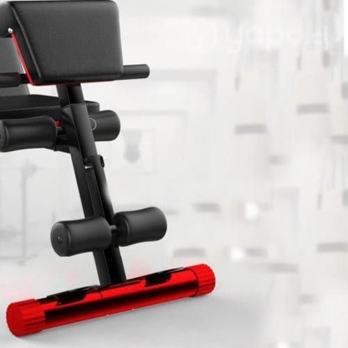 Máquina Abdominales Ejercicios Banda Elásticos