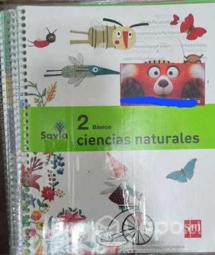 Libros SM segundo básico