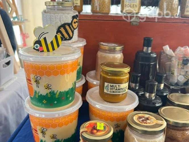 Miel ulmo multiflora tinetas