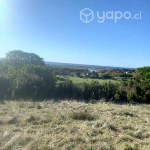 Campo carretera austral