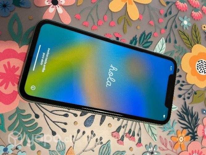 IPhone 11 64 g (uso: 11 meses aprox)
