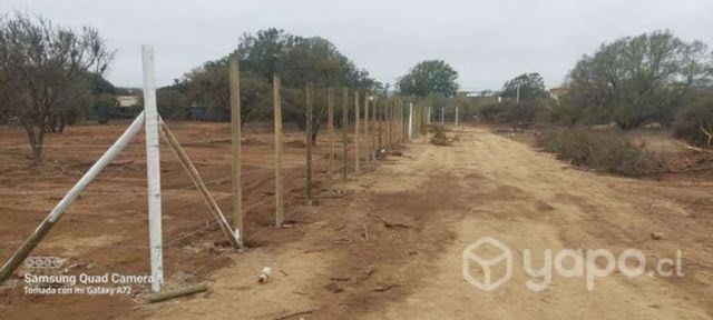 terrenos en Papudo