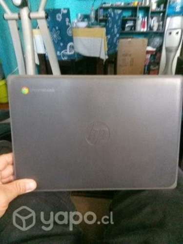 Chromebook hp