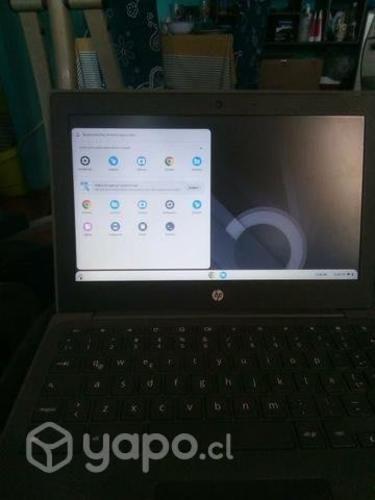 Chromebook hp