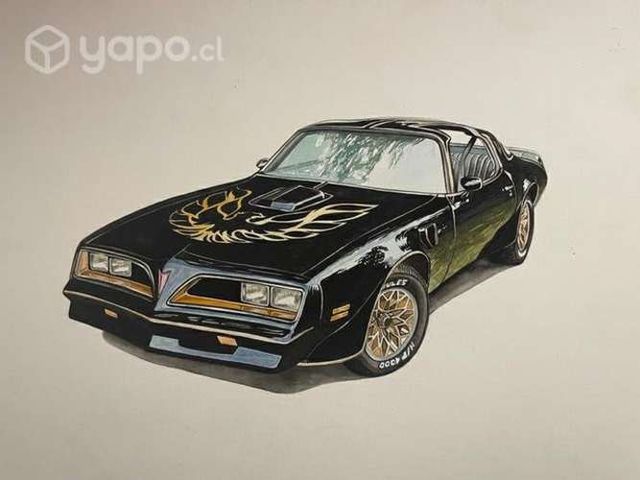 Cuadro, marco, pintura de tu auto