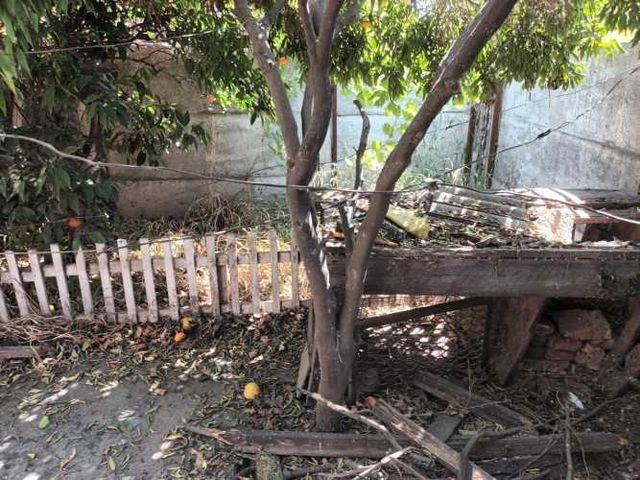 Retiro de Escombros. Retiro de cachureos,madera,poda rama, etc