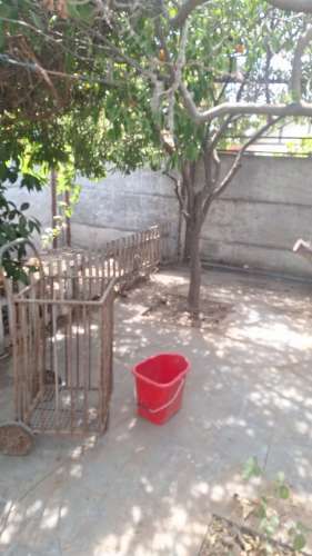 Retiro de Escombros. Retiro de cachureos,madera,poda rama, etc