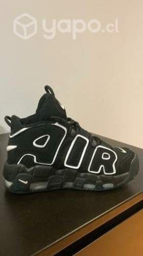 AIR nueva dos pasturas