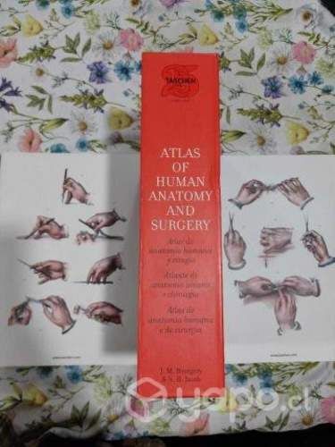 Atlas of human anatomy and surgery taschen