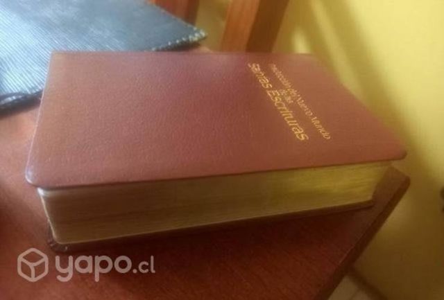 Biblia(santas escrituras)