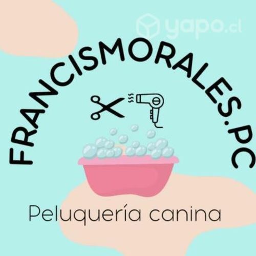 Peluquería canina a domicilio
