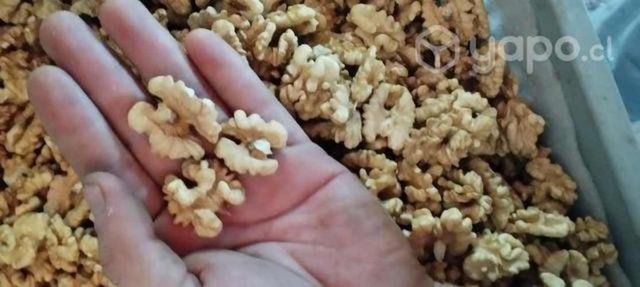 Nueces Chandler de la temporada mariposa