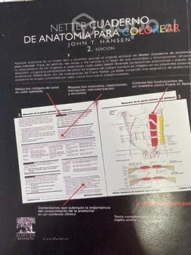 Netter libro anatomia