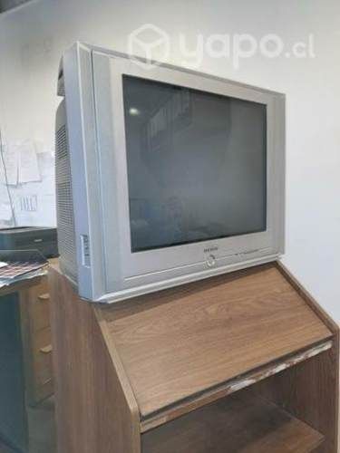 Televisor Samsung 25 pulgadas pantalla plana