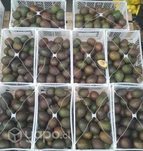 Palta Hass a domicilio