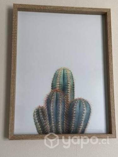 Lindos cuadros decorativos