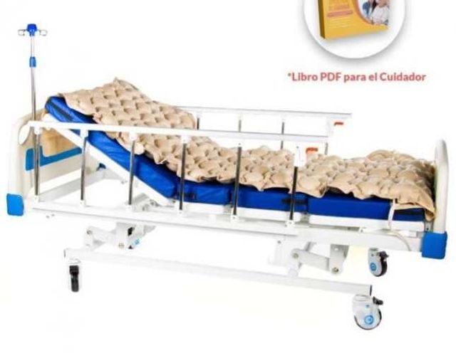 Cama Clínica Manual 3 Posiciones + Antiescaras