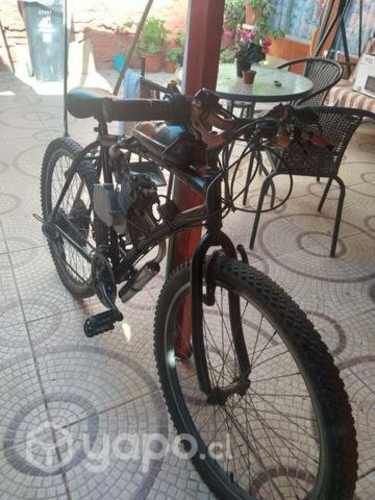 Bicimoto mosquito 49cc