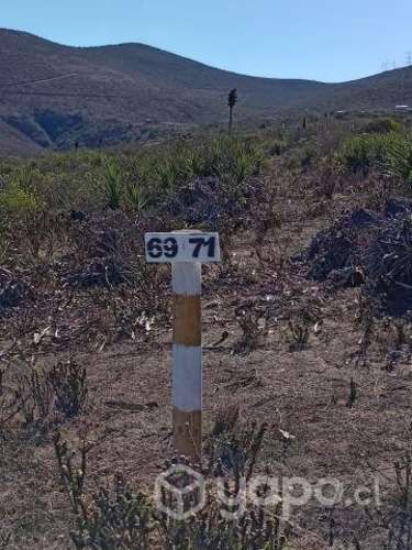 Terrenos x Hectareas