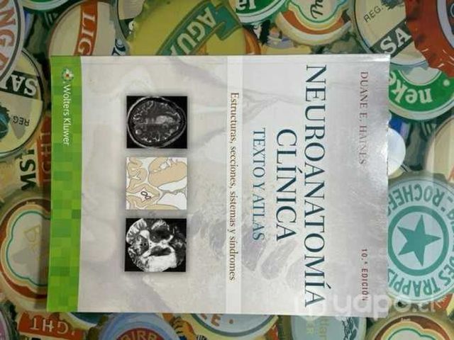 Haines. Neuroanatomía Clínica. 10ed USADO
