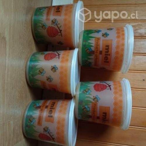 Miel ULMO de la zona