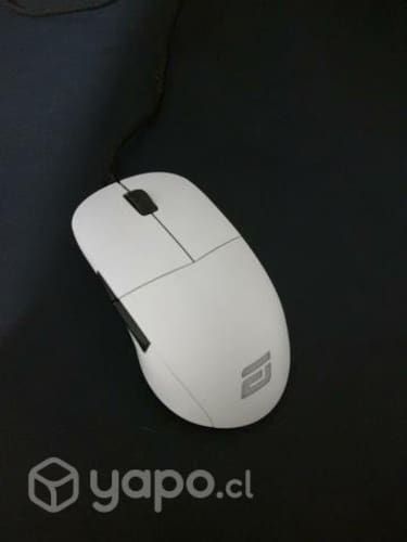 Mouse Endgame Gear XM1 RGB