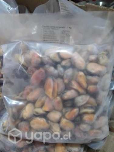 Mariscos premium certificado congelados