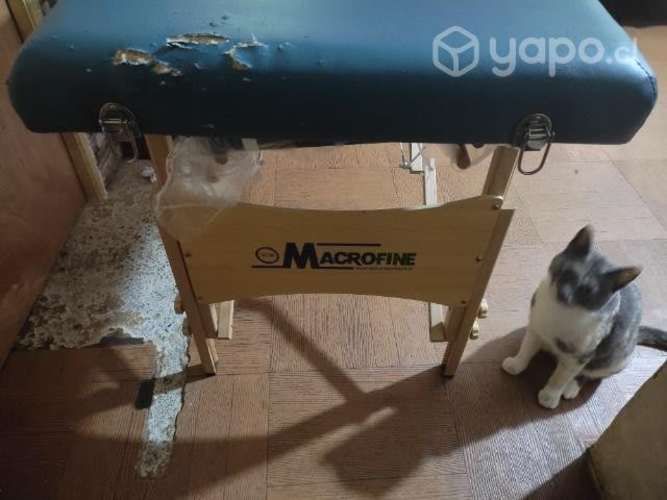 Camilla para lashista