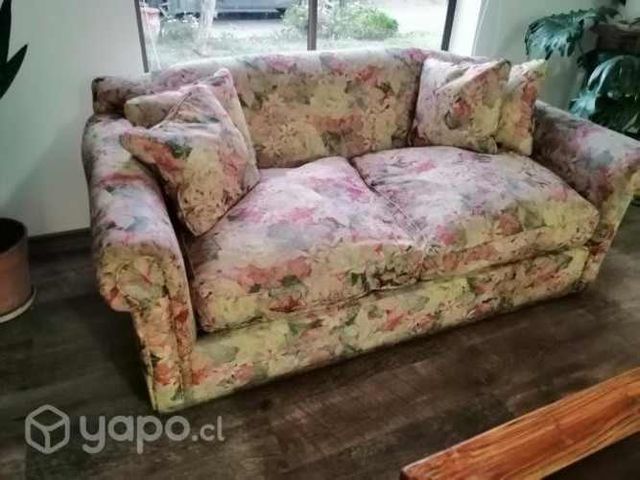 Sofá 2 cuerpos grande