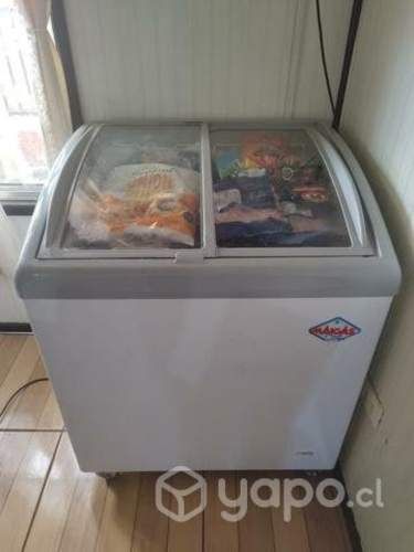 Congeladora maigas 160 litros impecable