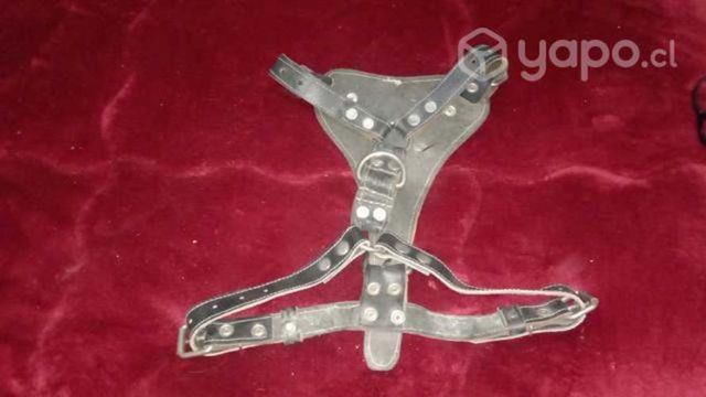 PECHERA PARA PERRO de cuero usada