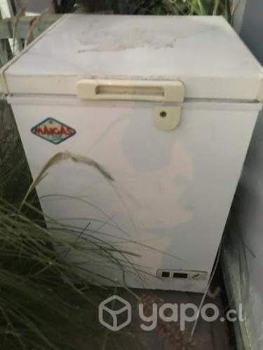 congeladora y frigobar