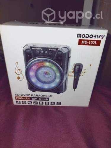 Parlante karaoke