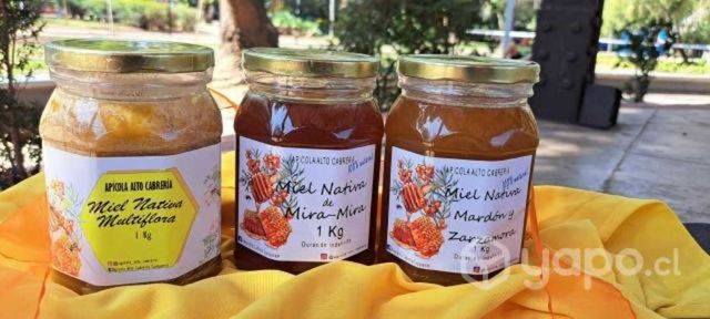 Miel 100% pura cordillerana directo del apicultor