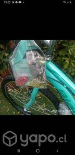 Bicicleta bianchi aro 24